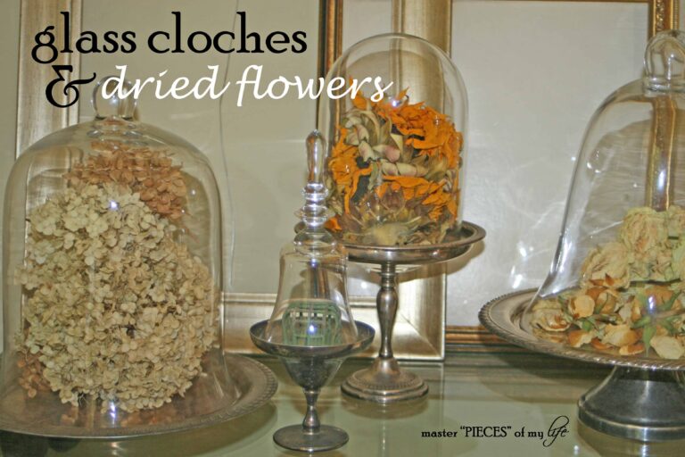 glass cloches & dried flowers