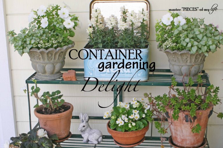 container gardening delight