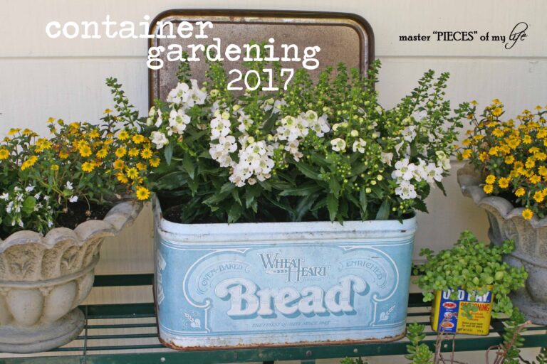 container gardening 2017