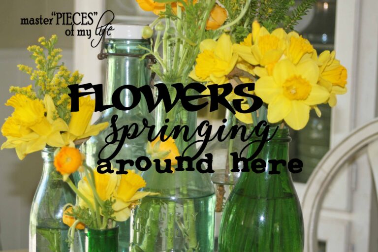 flowers springing around here