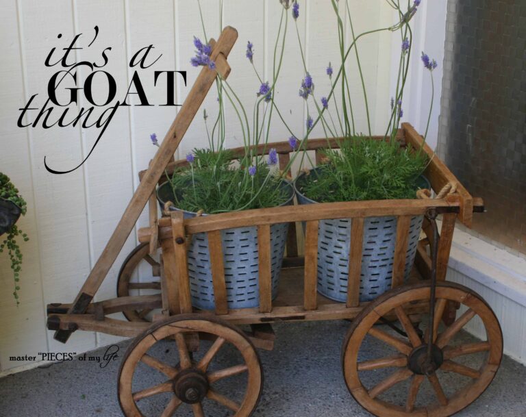 it’s a goat (cart) thing