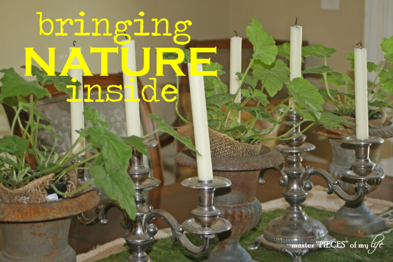 bringing nature inside