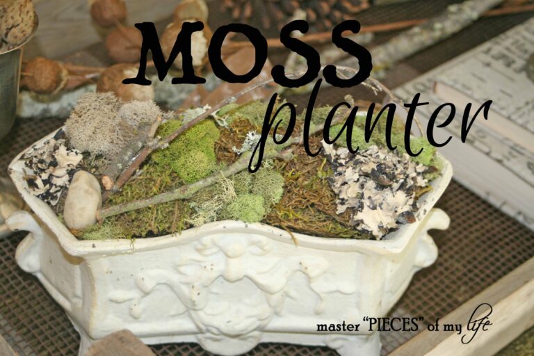moss planter