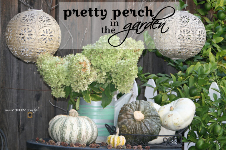 pretty perch in the garden