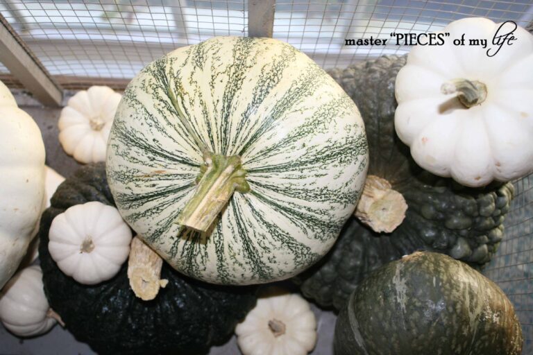 welcome first day of fall