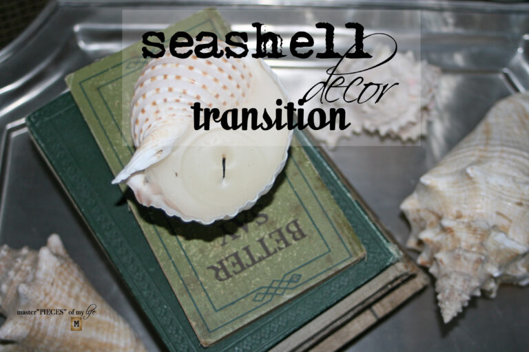 seashell decor transition