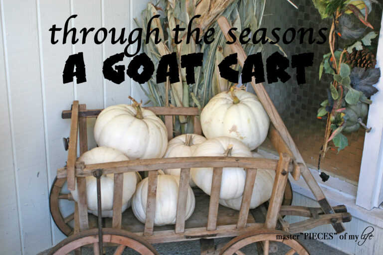 through the seasons – a Goat Cart