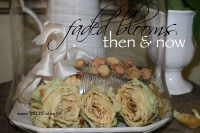 Faded blooms1