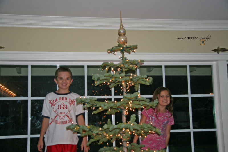Christmas tree tradition6