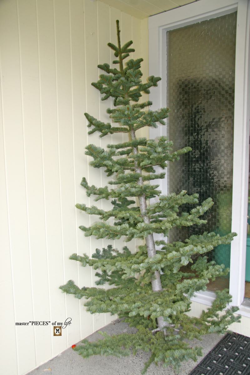 Christmas tree tradition9