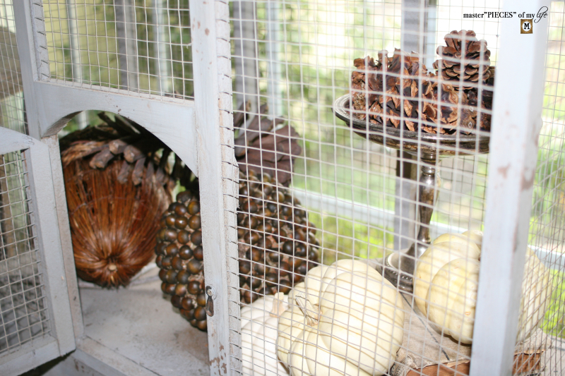 Thru the seasons - ornamental birdcage 6