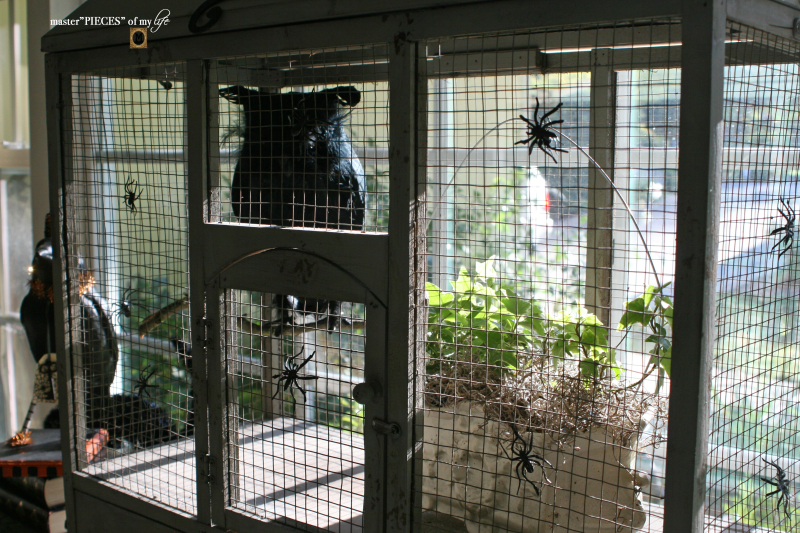 Thru the seasons - ornamental birdcage 8