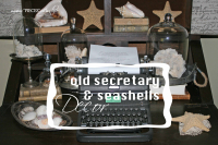 Secretary seashells 1