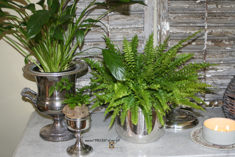 Greenery in silver 4