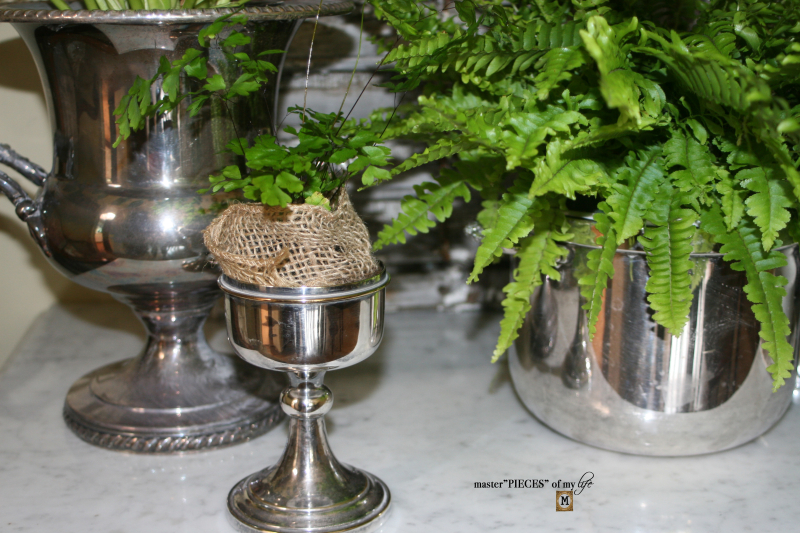 Greenery in silver 6