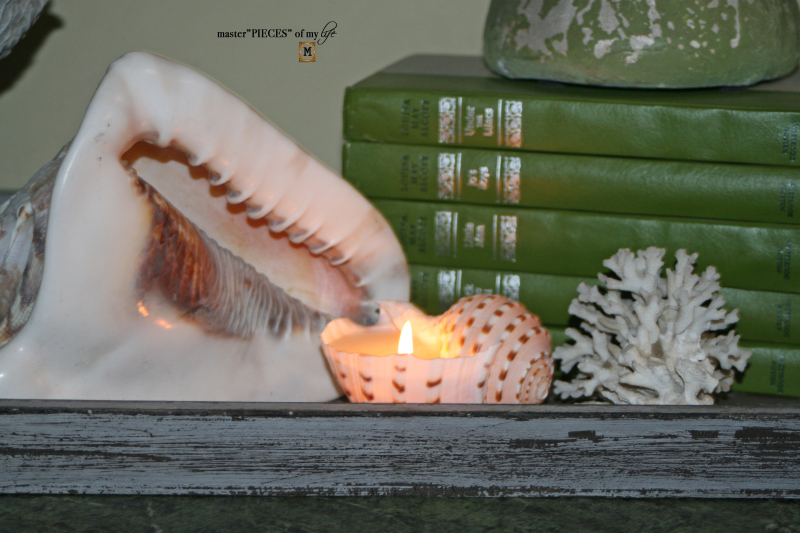 Seashell decor transition5