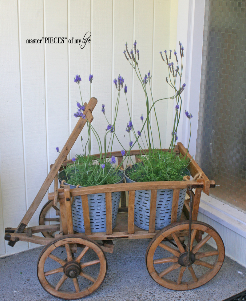 Through the seasons - a goat cart 2