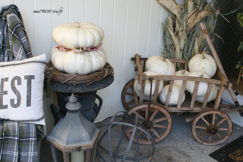 Through the seasons - a goat cart 4