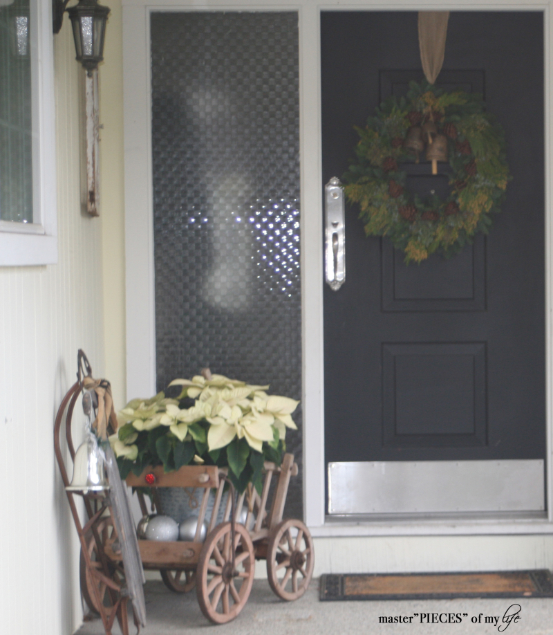 Through the seasons - a goat cart 5