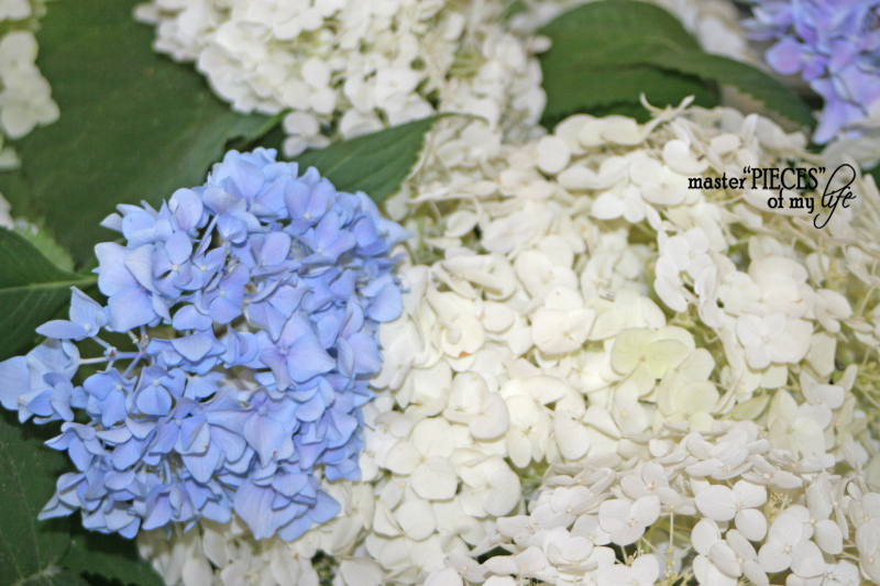 A fathers day tablescape 4