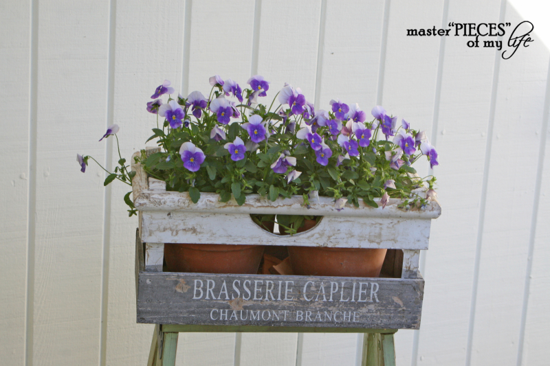 Container gardening 2020 2