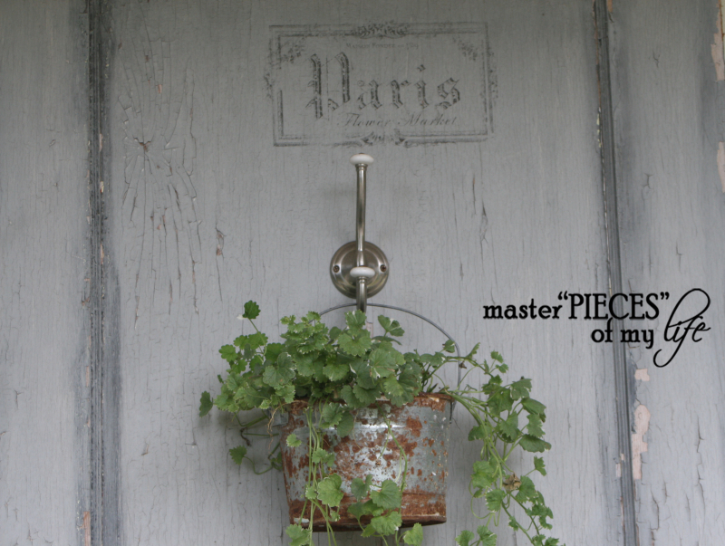 Container gardening 2020 6