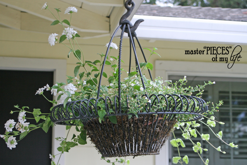 Container gardening 2020 8