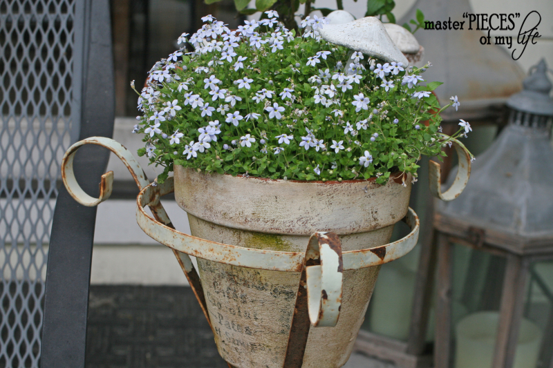 Container gardening 2020 10