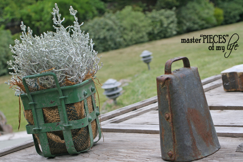 Container gardening 2020 11