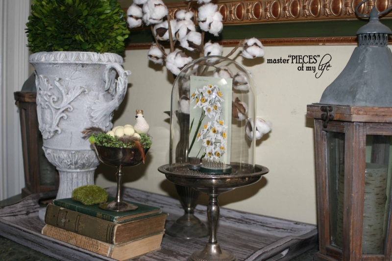 Happy 1sy day of spring2