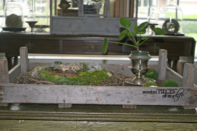 Happy 1sy day of spring5