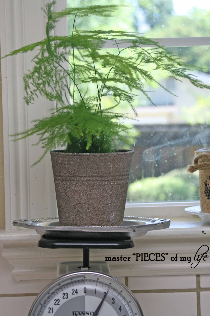 Too early for spring?1