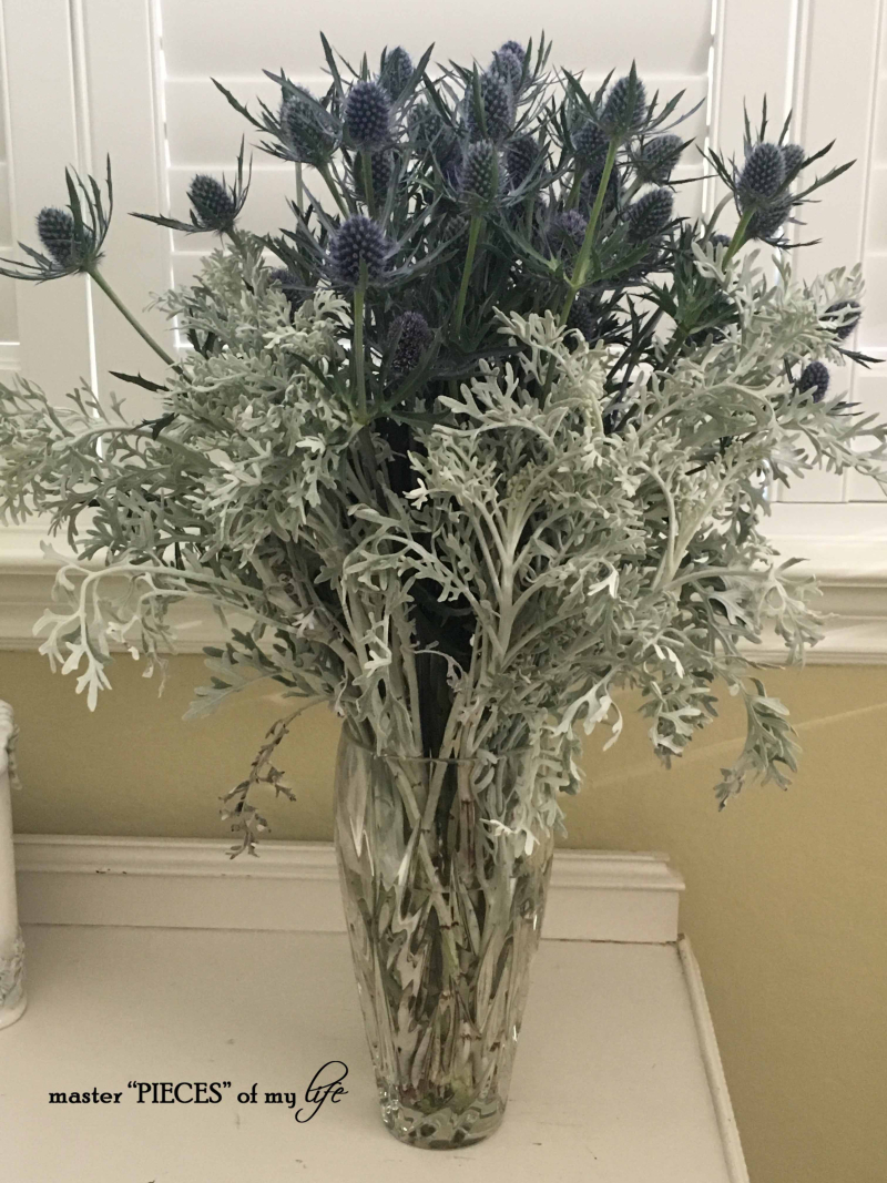 Too early for spring?3