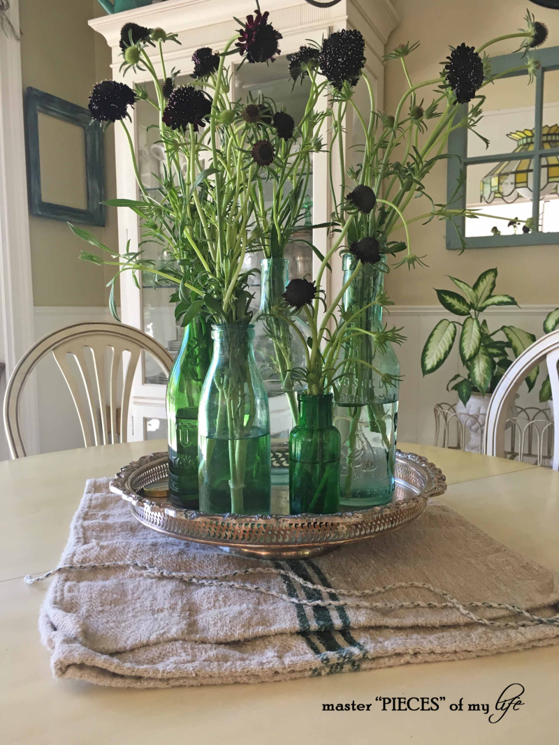 Too early for spring?4