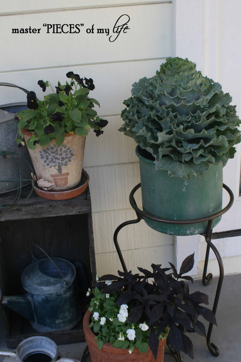 Fall container gardening1