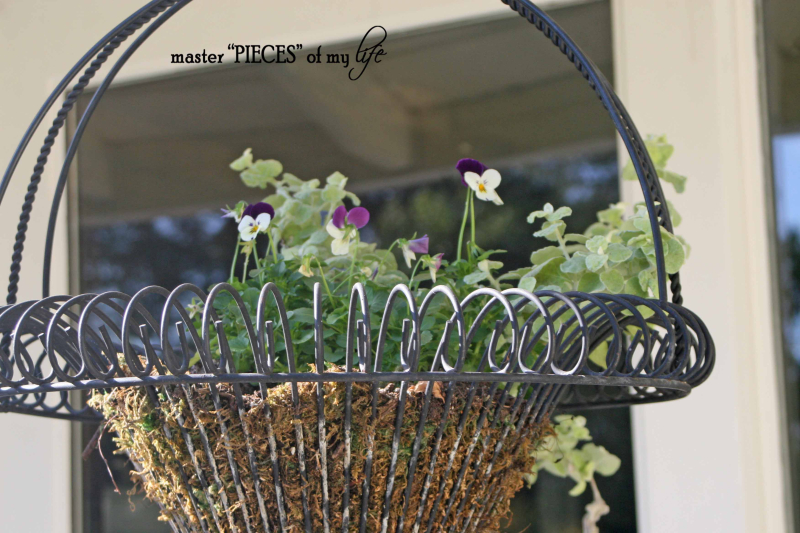 Fall container gardening2