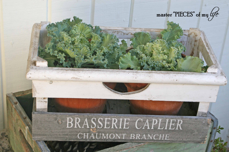 Fall container gardening3