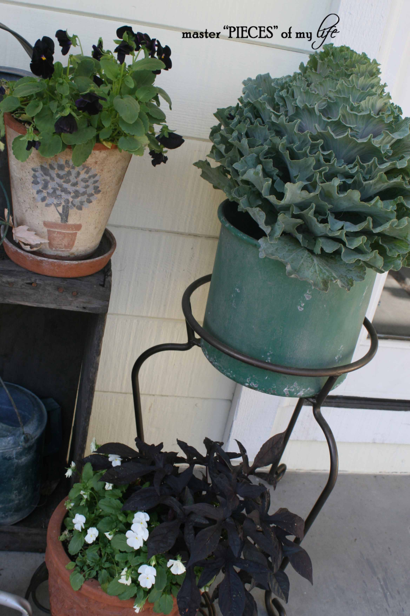 Fall container gardening6