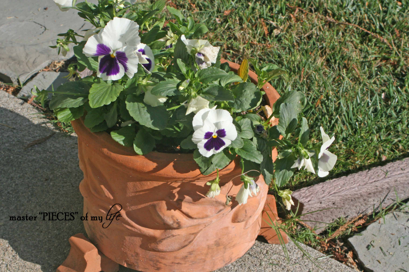 Fall container gardening8