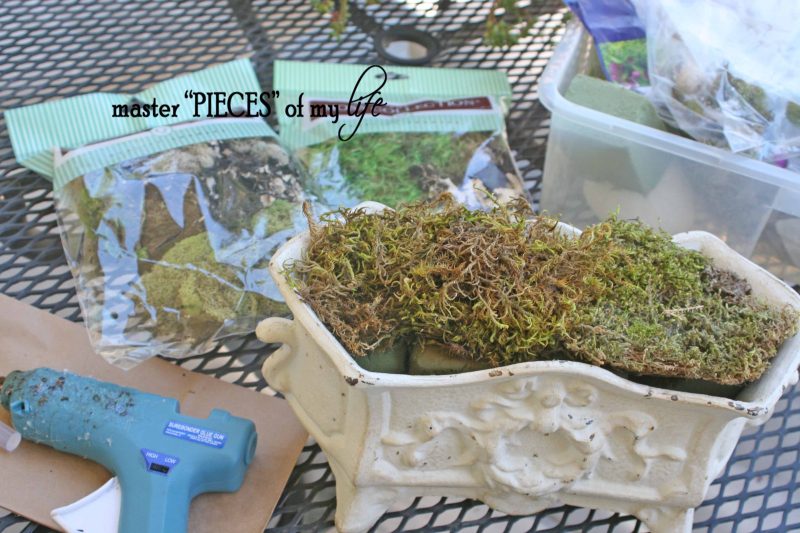 Moss planter4