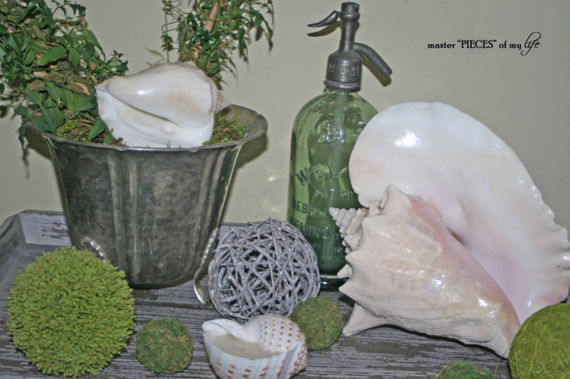Seashell summertime decor 1