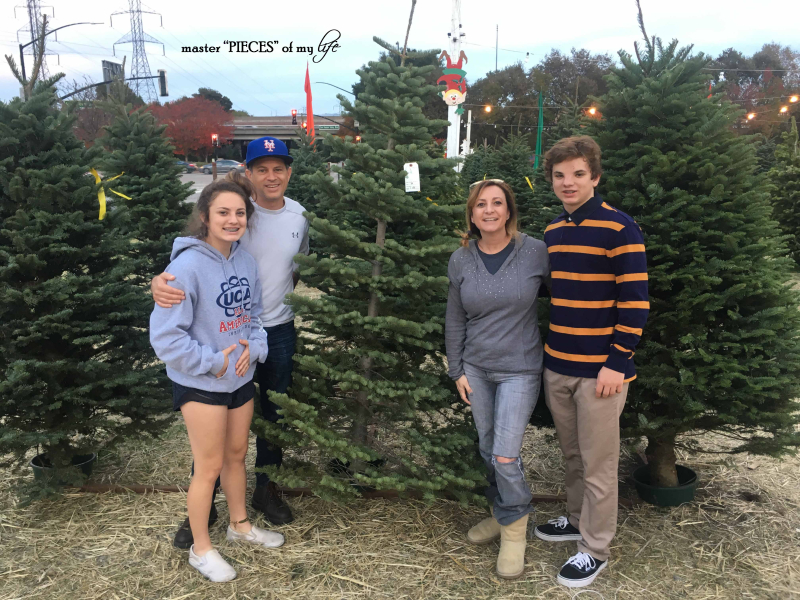 Christmas silver tip tree2