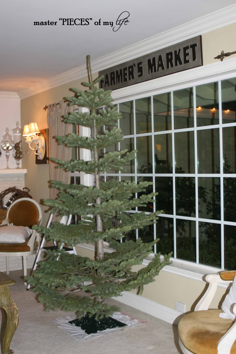 Christmas silver tip tree3