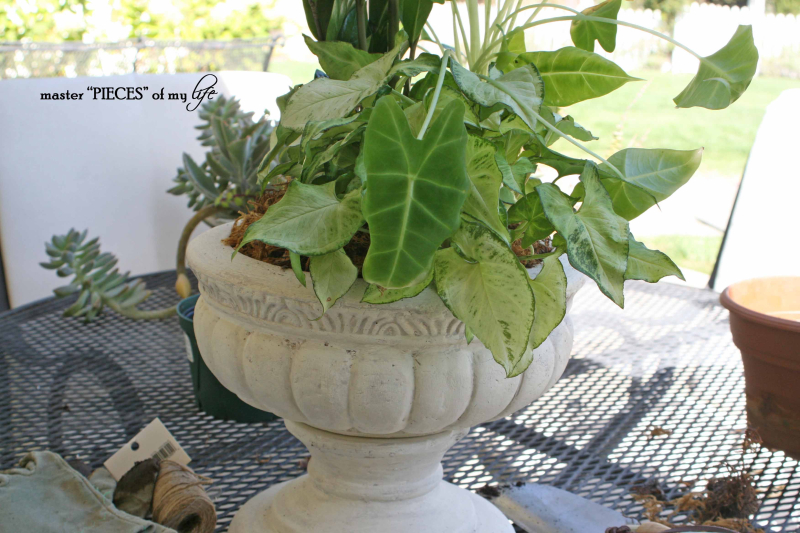 Urntransformation6 Urntransformation6