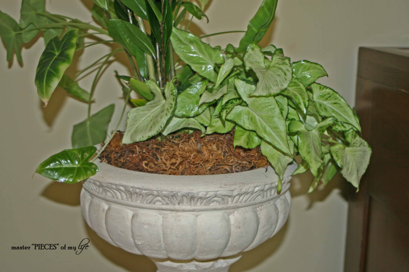 Urntransformation7 Urntransformation7