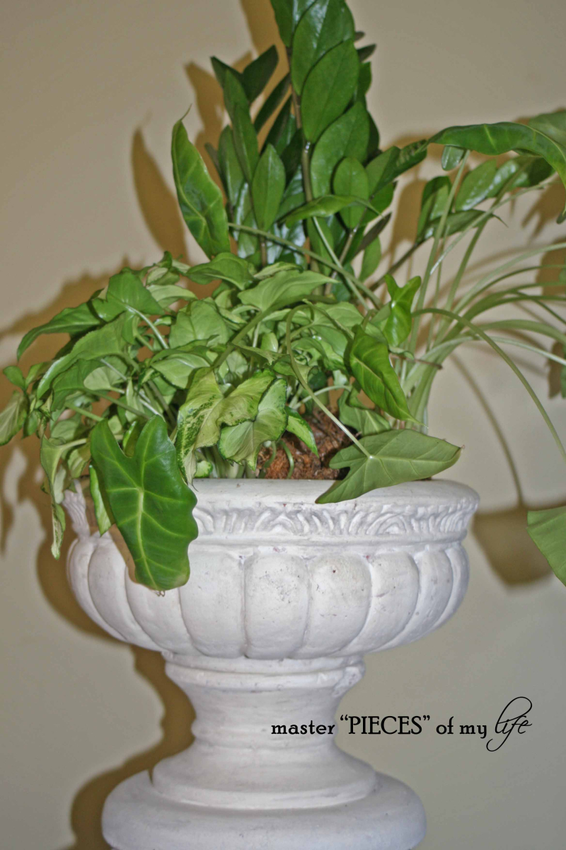 Urntransformation8 Urntransformation8