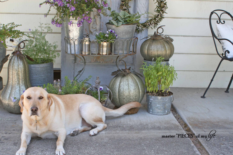 Metal pumkins garden7