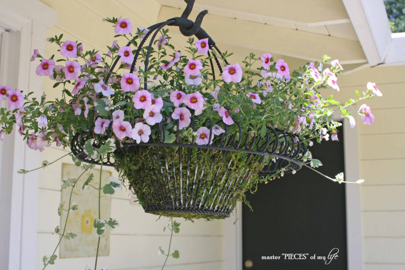 Containergardening2017 1