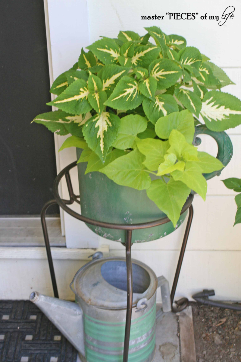 Containergardening2017 5