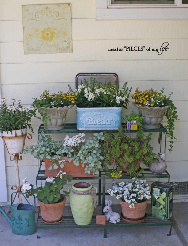 Containergardening2017 7